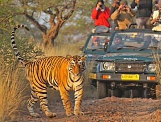 Golden Triangle with Ranthambore Tour