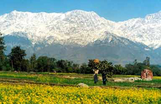 Valley of Flowers